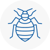 Bed Bug Extermination In High Barnet
